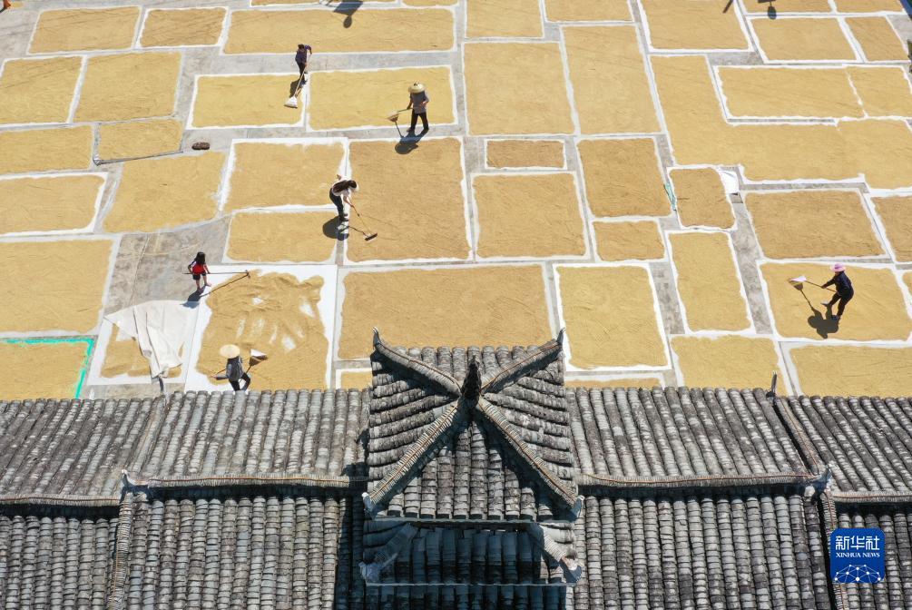 下载app送38元彩金100可提现